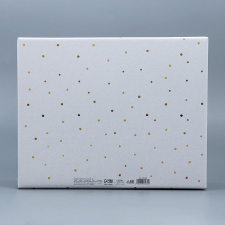The folding box "Champagne", 31.2 x 25.6 x 16.1 cm, New Year-3
