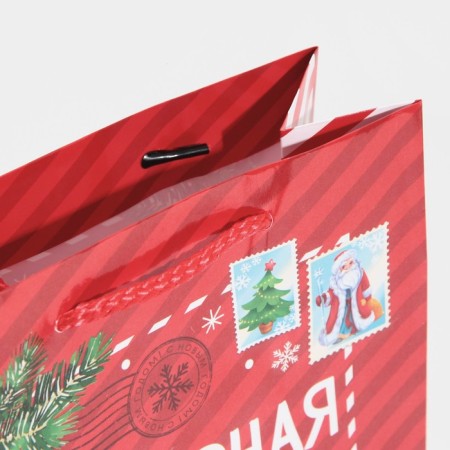 Laminated vertical "Polar Mail", MS 18 x 23 x 8 cm, New Year-4