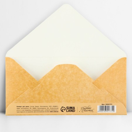 Money envelope "Gift to you", glitter, 16.5 x 8 cm-2