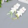 Decor on the stick "Zaychat - Sprinking, circles" set 2 pcs yellow, green 12 cm