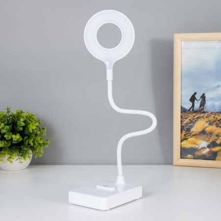 Table lamp touch lamp "Lody" LED 4W USB AKB White 9x12x45 cm Risalux-6