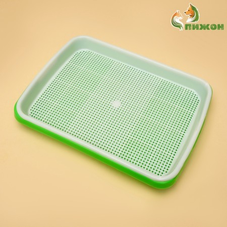 Tray for germination of grass to cats, 32 x 23.5 x 5 cm
