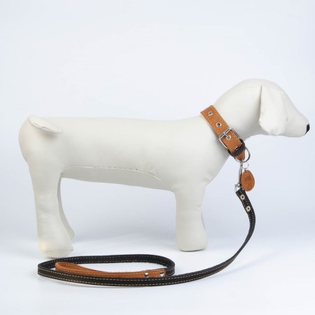 Set: collar (36-56x2.5 cm) and leash (130x1.5 cm), beige and black color-1
