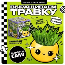 A set for experiments, for children “grow grass”, a plant in a pot - Emoji “dear”