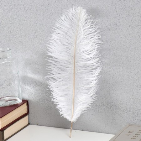 Feather of ostrich 30-35 cm, white