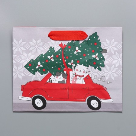 Craft horizontal package “I hurry to you”, MS 23 x 18 x 10 cm, New Year-5