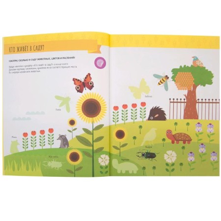 Montescorori method. Development through the game. In the garden. Activities with stickers, Piroddy K.-2