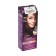 Cream-hair color Palette, tone RFE3, eggplant
