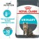 Dry feed RC Urinary Care for cats, ICB prevention, 4 kg