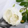 Artificial flowers "lush peony" 7x47 cm, white