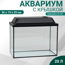 Aquarium 