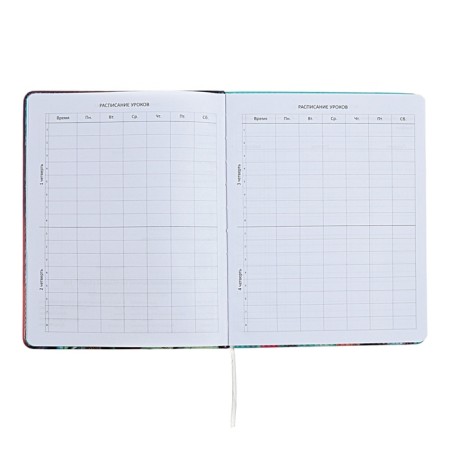 Universal diary for grade 1-11, hard cover, artificial leather, foam rubber, foil embroidery, liesse, 80 g/m2-4