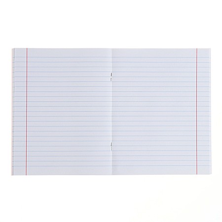 Subject “Domino”, 48 sheets in a ruler, “literature”, plastic cover, offset block-3