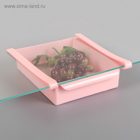 Suspended shelf in the refrigerator, 22 × 20 × 7 cm, color mix-4