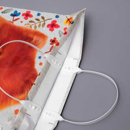 SPITS package, plastic with a plastic pen, 37 x 34 cm, 80 μm-1