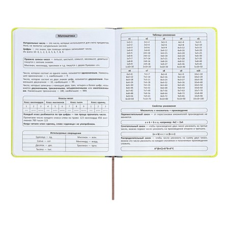 The universal diary for grades 1-11 is an excellent student, a solid cover made of artificial leather, silkography, lies, 48 ​​sheets, light green-7