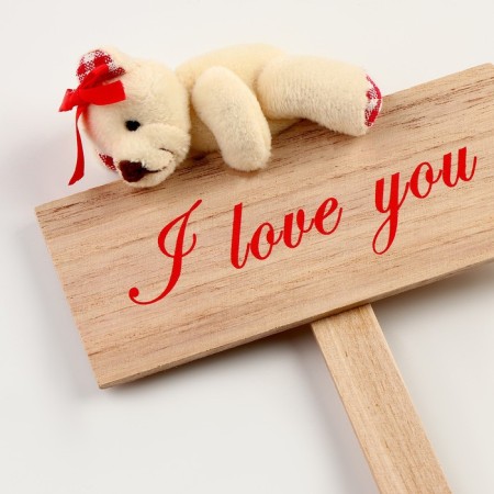 Decoration for the Cake "Bear"-1
