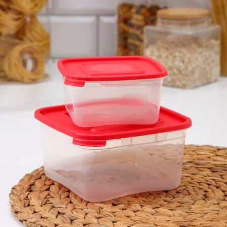 A set of food containers "Cascade", 2 pcs: 460 ml, 1 l, color mix