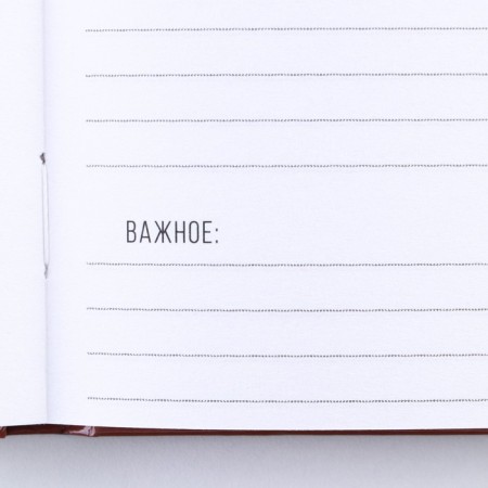 Diary "Power of Spirit" A5, 80 sheets-5