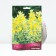 Verbeynik Potochny Alexander, rr I, 1 pc, spring 2025