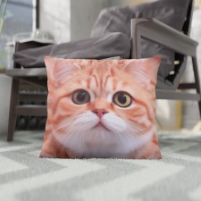 Decorative pillow 