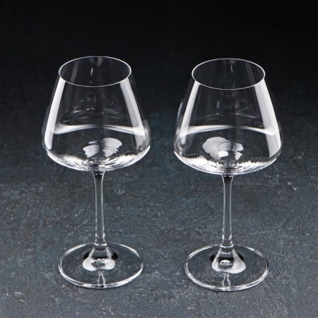 A set of glasses for white wine Corvus, 350 ml, 2 pcs-1