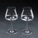 A set of glasses for white wine Corvus, 350 ml, 2 pcs