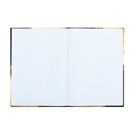 College-wiper in a solid cover 7BC, A4, 80 sheets, golden ball, a cage block, glossy lamination-3