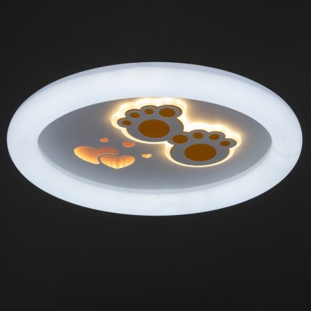 Luer with PDD "Paws" LED 120W 3000-6000K white 50x50x9 cm-4