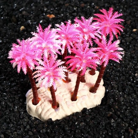 Artificial aquarium "Island", 8 x 8 cm