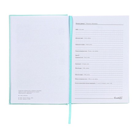 Dated 2025 diary, A5, 176 sheets of Escalada, a solid cover of artificial leather with foam rubber, pancake embossing, liesse, block 70 g/m2, green-6