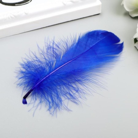 Decorative feathers "carnival", 5-8 cm (set 24 pcs) 6 colors, bright, assorted-2