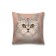 Decorative pillowcase "Fluffy pet", on a zipper, size 45x45 cm
