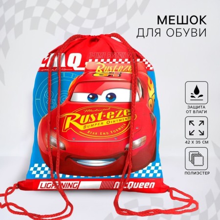 A bag for shoes 420 x 350 mm, car "maccuine" (soft polyester, density 210d)-4