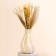 Set of dried flowers 4 types "Fairy Tale" 48x16x6 cm