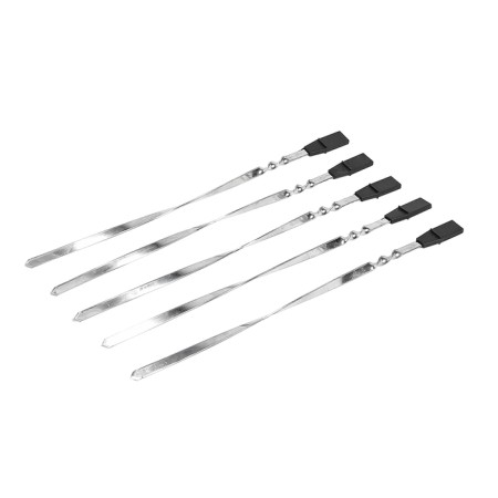 Energy Energy Energy Neva-1, 1000 watts, 5 skewers, silver-3