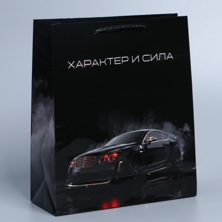 Package Gift Laminated Vertical, packaging, “From February 23!”, Ml 21 x 25 x 8 cm-3