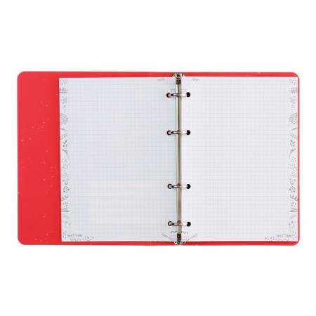 Notebook on A5 rings, 100 sheets in the Meshu Amazing Cats cage, cover coated cardboard, matte lamination, selective UV-clock-5