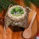 Pine cones jam, 100 ml.