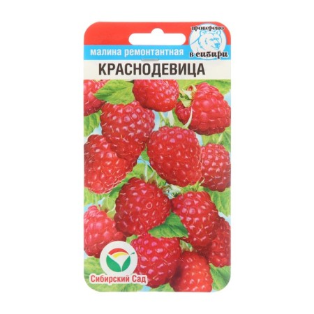 Raspberry "Krasnodvitsa", 10 pcs