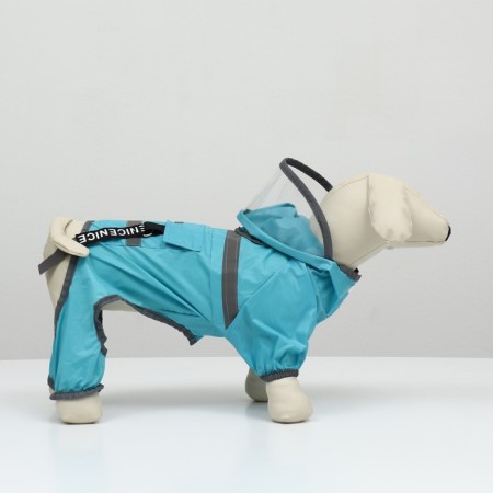 Combiason for dogs, demi -season with a visor, size M (DS 32, OG 45, Osh 35 cm), blue-3