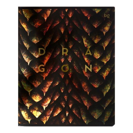 Notebook 48 sheets of Dragon-Like cage, covered cardboard, metallization, mix-3