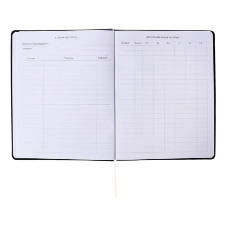 Universal diary for grade 1-11 Dark Brown, hard cover, artificial leather, foam rubber, lies, 80 g/m2-14