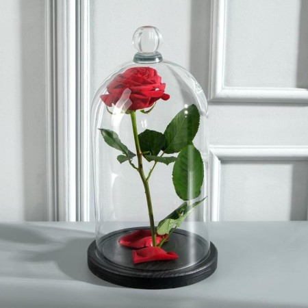 Glass dome-redflower with a ball on the stand "Rodrik", 29x15 cm, glass, black-1
