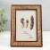 Photo frame plastic 10x15 cm "Wood drawing" with copper stroke 18.5x13.5 cm