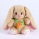 Soft toy "Bunny", with carrots, 25 cm
