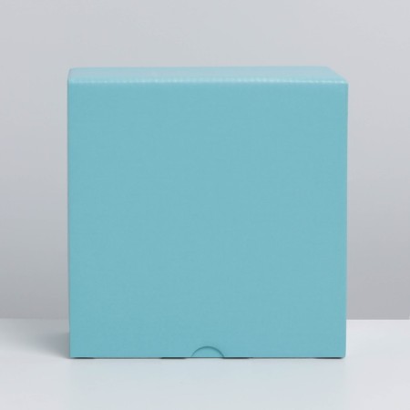 Gift folding box, packaging, Tiffany, 15 x 15 x 7 cm-5