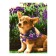 Picture on the numbers "Cute Corgi", a canvas on a subframe 30 × 40 cm