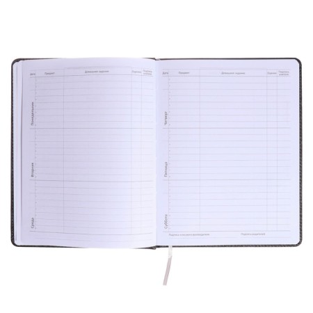 Universal diary for grade 1-11 JD Monster, hard cover, artificial leather, foam rubber, lies, 80 g/m2-6