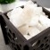 Salt lamp "Bubble. Bubbles" 1.8 kg, 15W, dimmer 15x12x12 cm